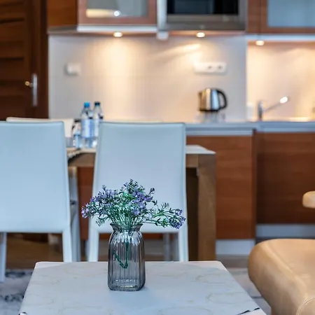 Tatrytop Pod Skocznia Apartment Zakopane